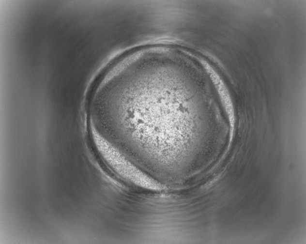 X0000068891414200606021907