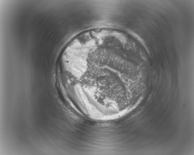 X0000068891415200606021907