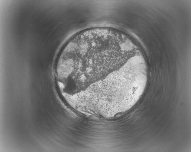 X0000068891416200606021907