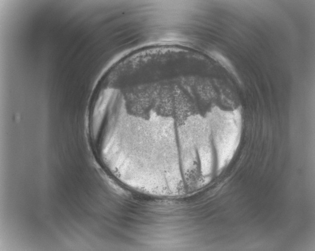 X0000068891420200606021907