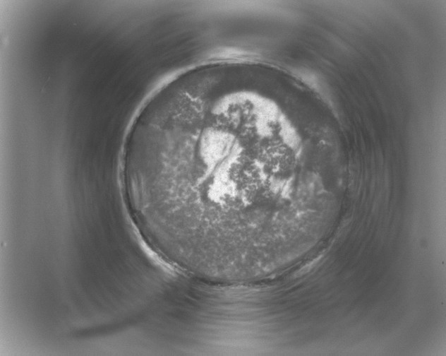 X0000068891421200606021907