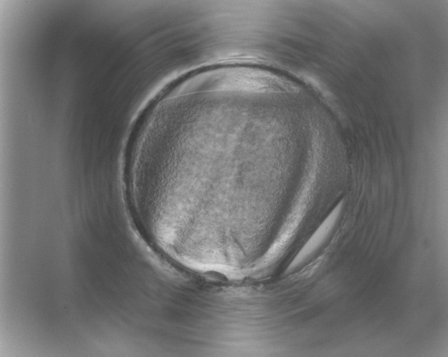 X0000068891422200606021907