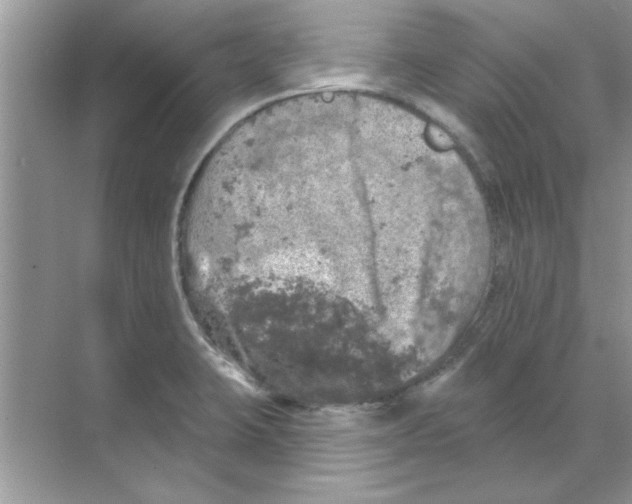 X0000068891423200606021907