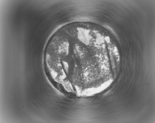 X0000068891424200606021907