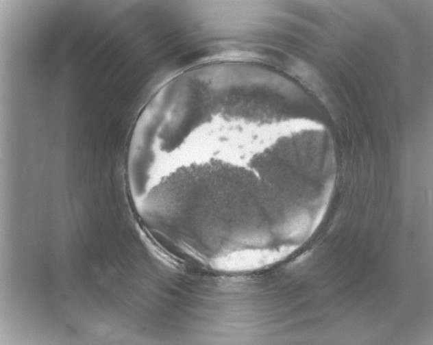 X0000068891425200606021907