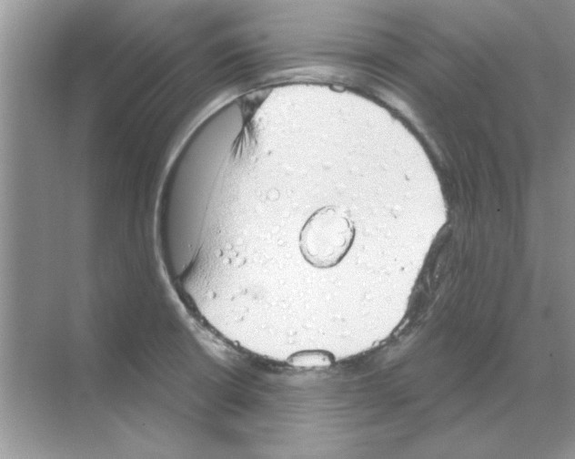 X0000068891426200606021907