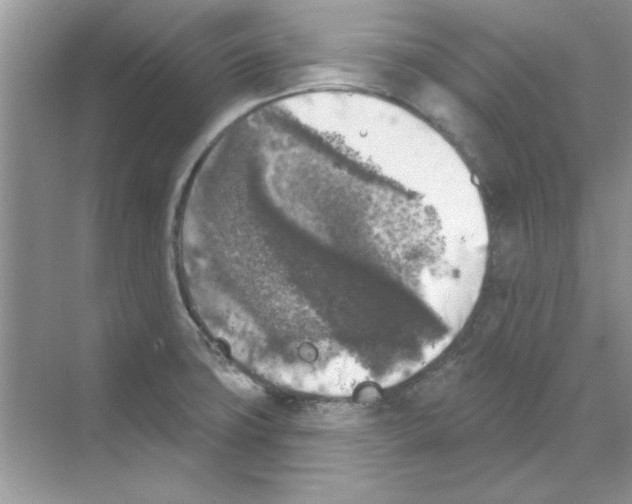 X0000068891427200606021907