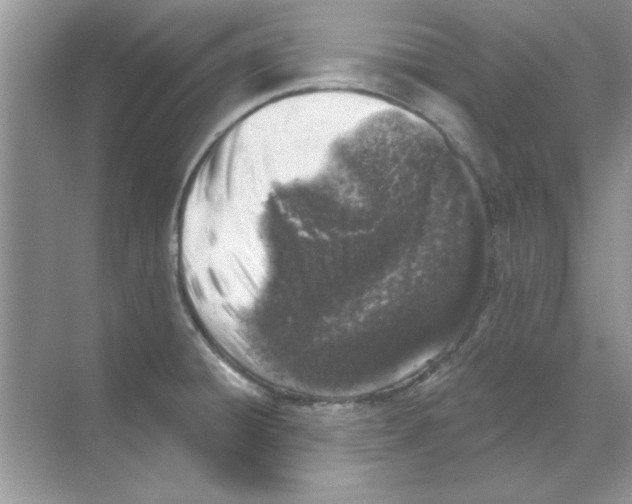 X0000068891428200606021907