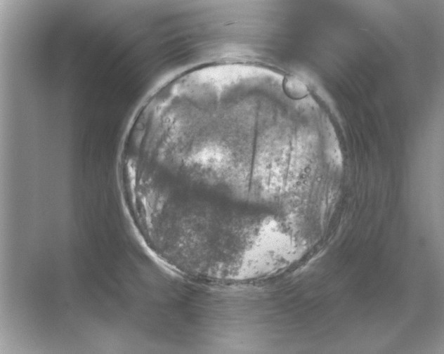 X0000068891429200606021907