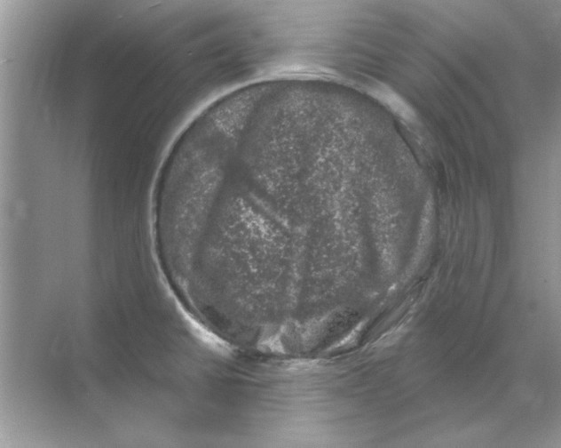 X0000068891430200606021908