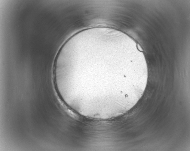 X0000068891431200606021908