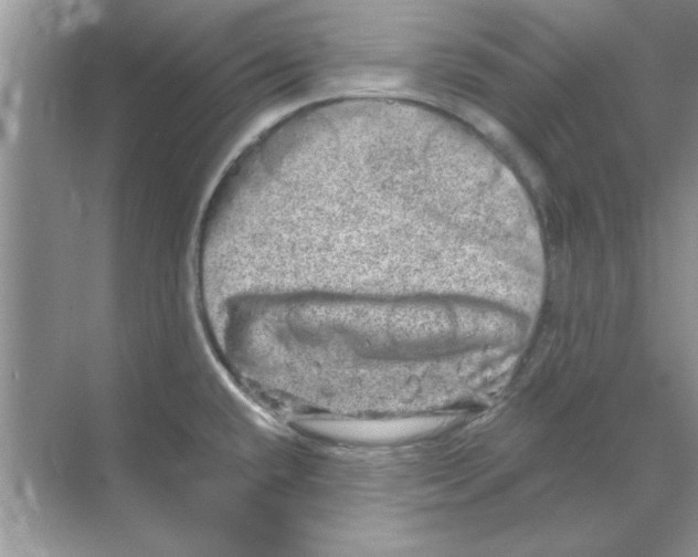 X0000068891432200606021908