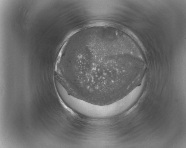 X0000068891433200606021908