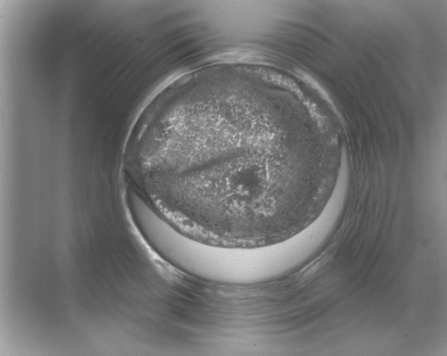 X0000068891434200606021908