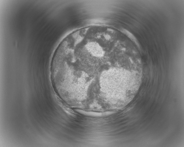 X0000068891435200606021908