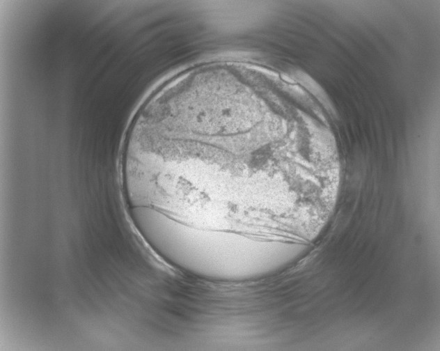 X0000068891436200606021908