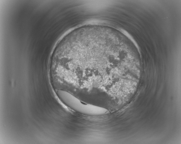 X0000068891437200606021908