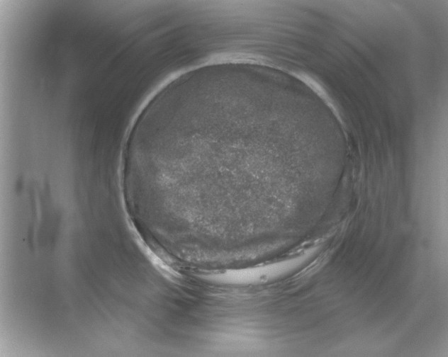 X0000068891438200606021908