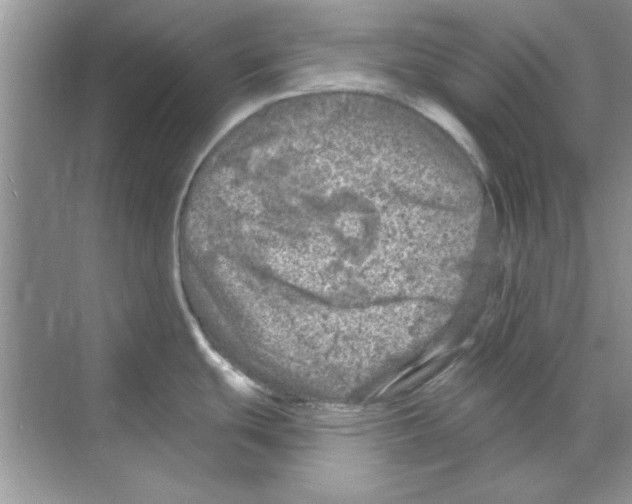 X0000068891439200606021908