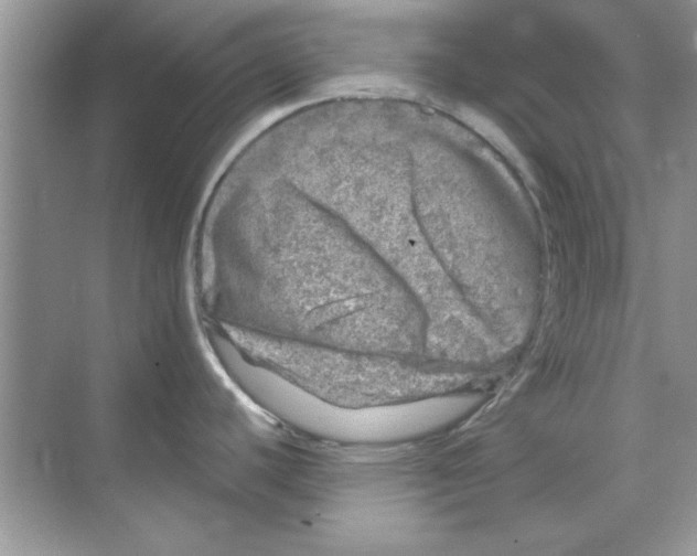 X0000068891440200606021908