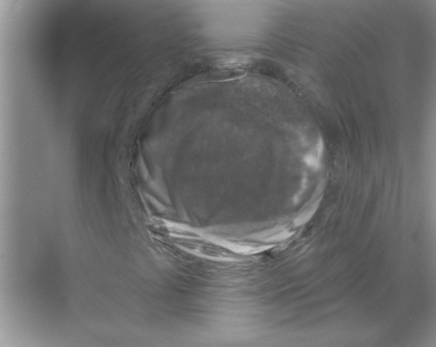 X0000068891441200606021907