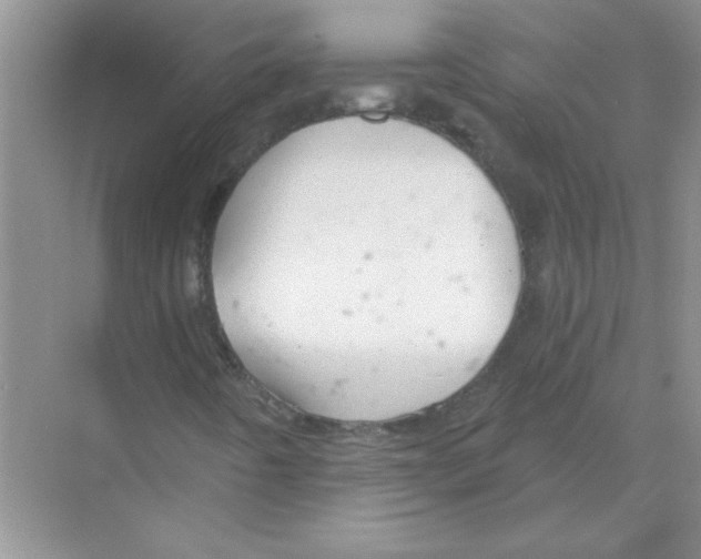 X0000068891442200606021907