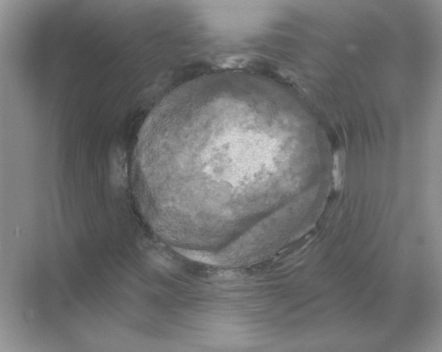 X0000068891443200606021907