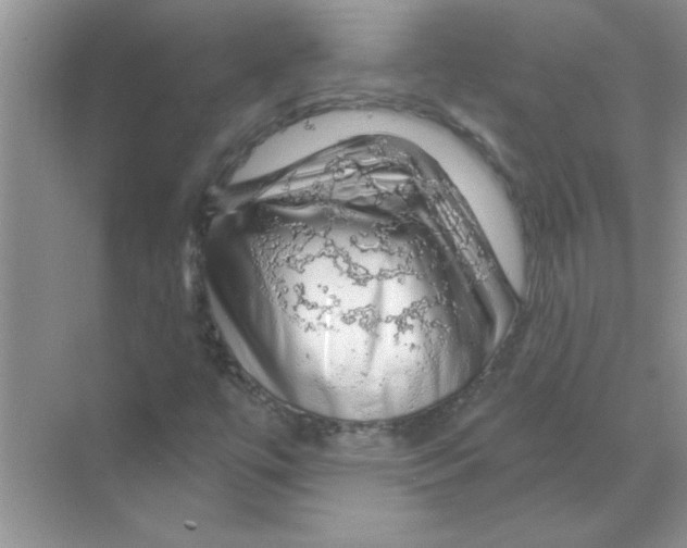 X0000068891447200606021907