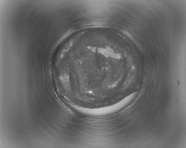 X0000068891450200606021907