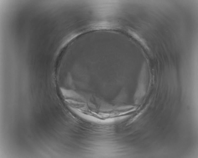 X0000068891453200606021907