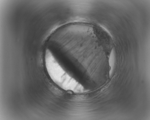 X0000068891455200606021907