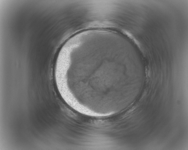 X0000068891459200606021907