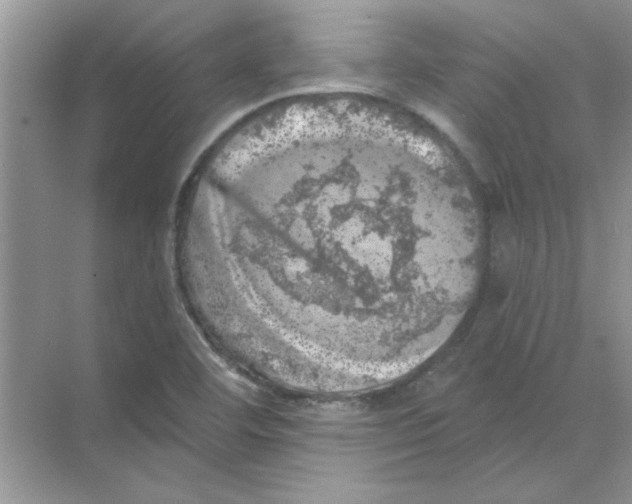 X0000068891460200606021907