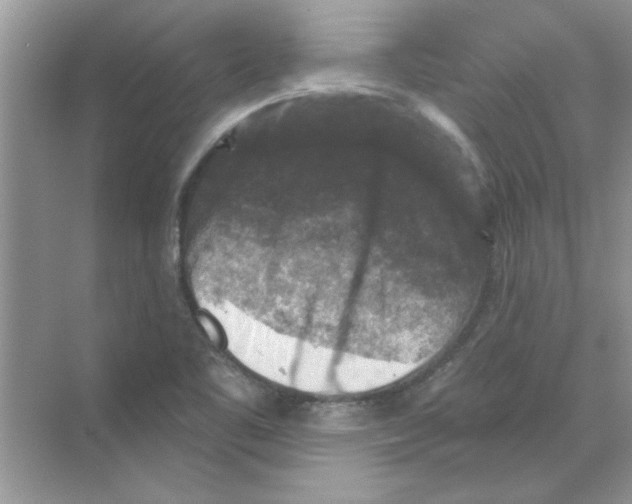 X0000068891461200606021907