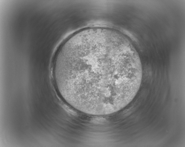 X0000068891462200606021907