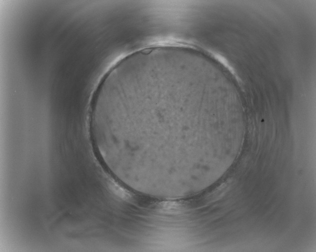 X0000068891463200606021907