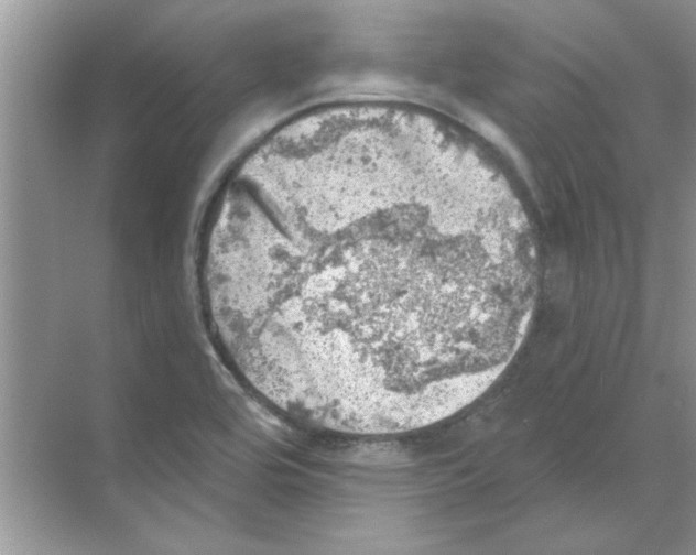 X0000068891464200606021906