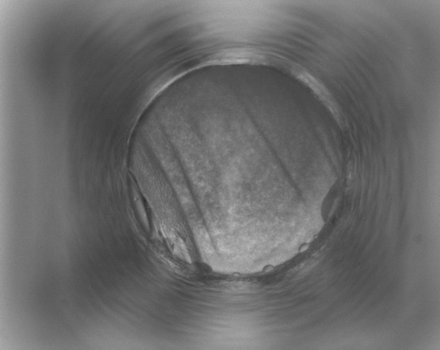 X0000068891465200606021906