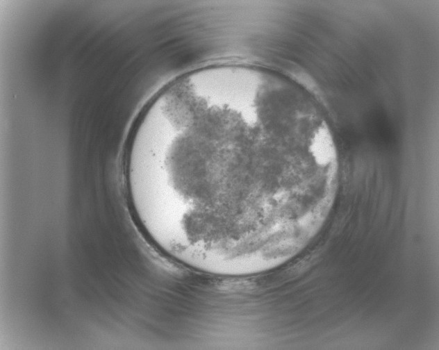 X0000068891466200606021906