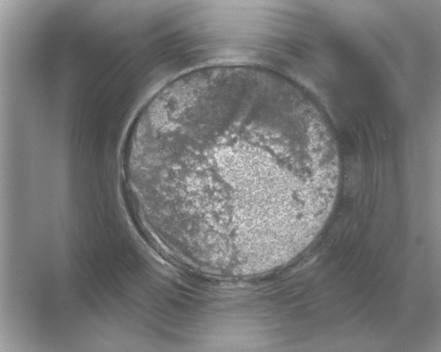 X0000068891467200606021906