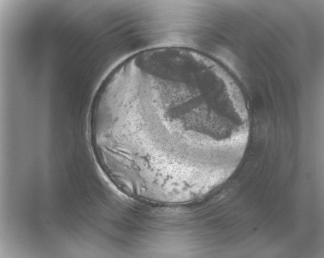 X0000068891468200606021906