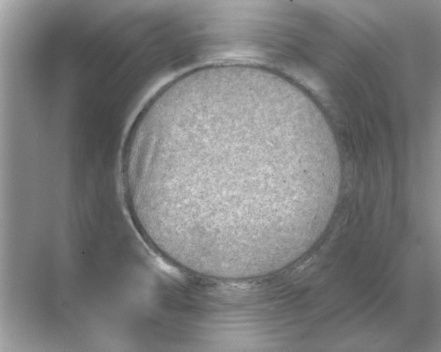 X0000068891470200606021906