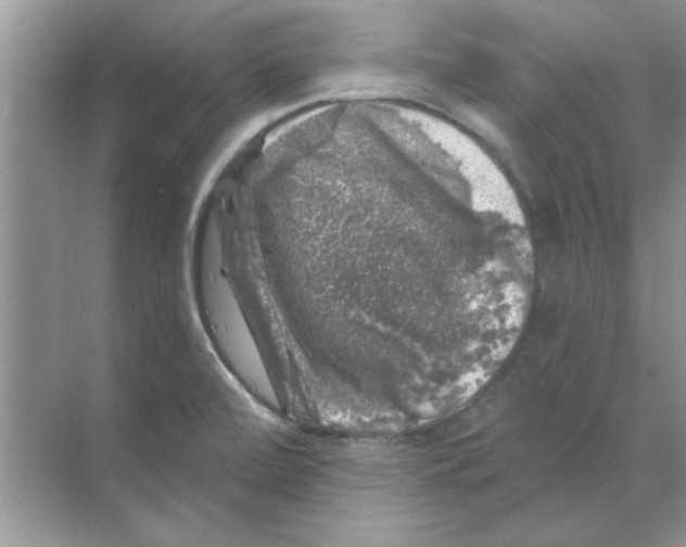 X0000068891472200606021906