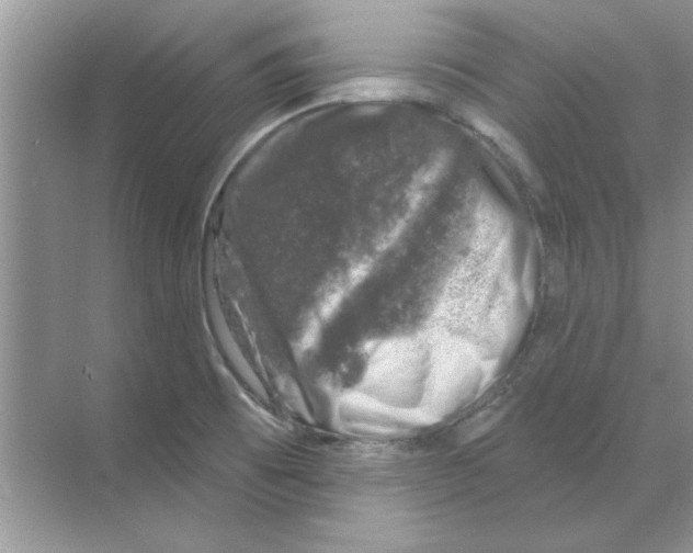 X0000068891473200606021906