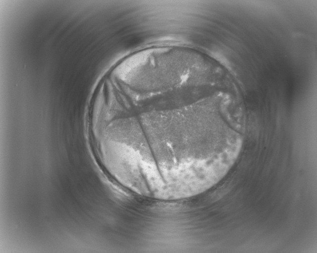 X0000068891474200606021906