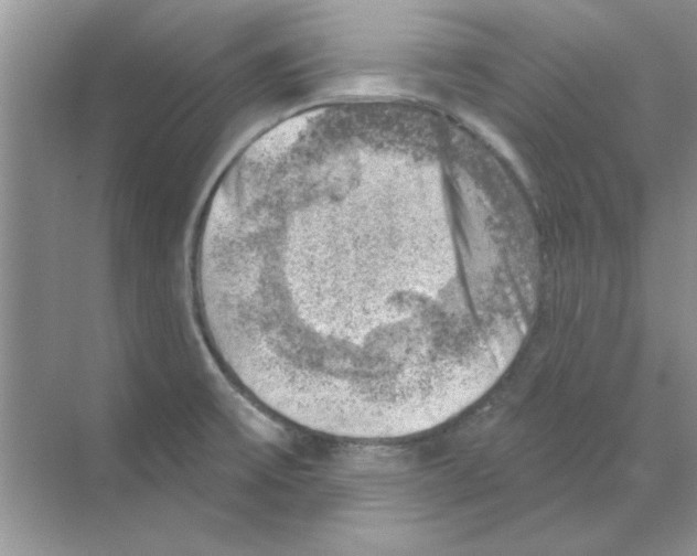 X0000068891475200606021906