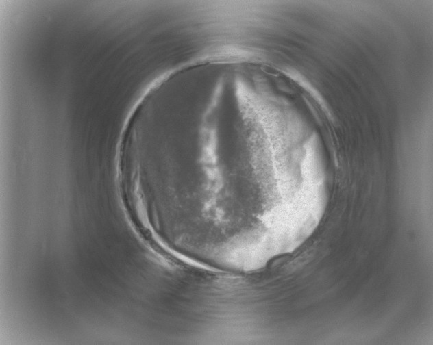 X0000068891477200606021906