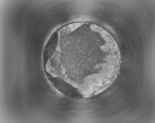 X0000068891480200606021906