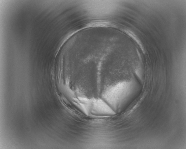 X0000068891481200606021906