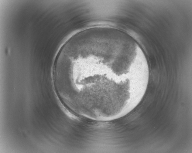 X0000068891482200606021906